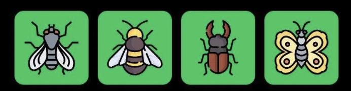 FLIES Daily Combo 11 July 2025
